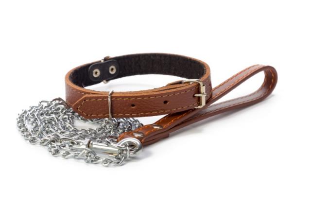 Accessoires en cuir pour animaux , comment allier confort et style ?