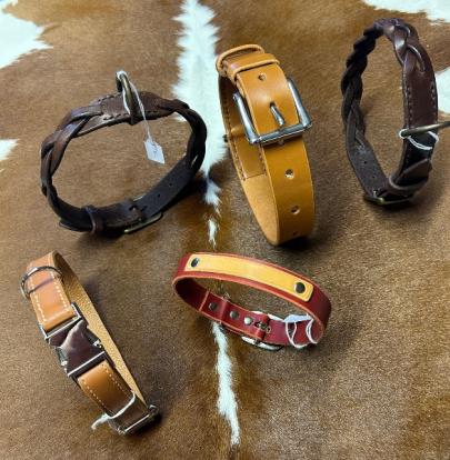 Collier et harnais pour le confort et la sécurité de vos animaux.